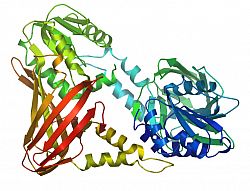 CARM-1 (2v7e)