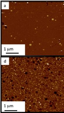 AFM permeation