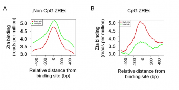 GWAS methylation