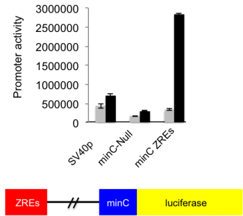 data of Zta acting at a sidtance