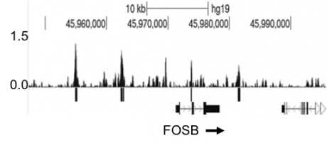 data at FOSB