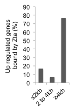 distance from TSS