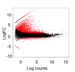 Scatter plot