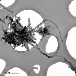 Carbon Nanotubes