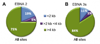 results of analysis