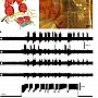 Multi-electrode array recording combined with intracellular recording (MEA recording from intact brain)