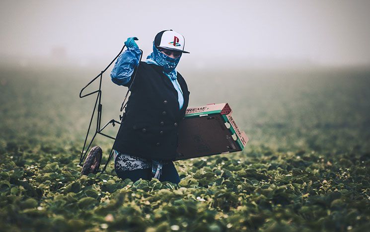 A migrant fruit-picker in protective clothing holds a crate and trolley in a misty strawberry field