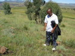 Dr. T Tsikoane & old tree planting hole