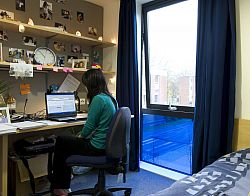 A female student wearing a green jumper sitting with her back to the camera in an office chair at a desk working on a computer next to the window