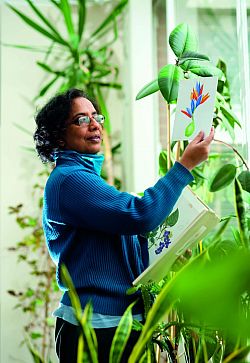Dr Vinita Damodaran, Director of the Centre for World Environmental History at Sussex, is part of an exciting collaborative research project with the Royal Botanical Gardens, Kew.