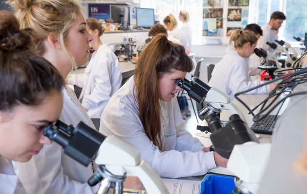 Undergraduate students taking part in lab work at the University of Sussex