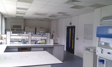Biology lab 2