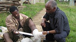 Man having his foot bandaged