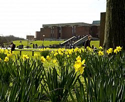 University campus in the spring