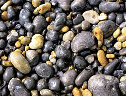 Beach pebbles (South Downs book)