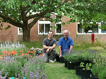 PhD student Mihail Gaburzov and Professor Francis Ratnieks in the LASI research garden