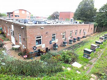 The Laboratory of Apiculture and Social Insects at the University of Sussex