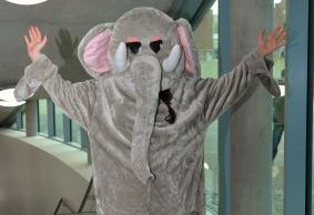 A photo of an actor dressed as an elephant, standing in a hallway