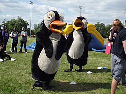 Penguin pursuit game from Staff Olympics