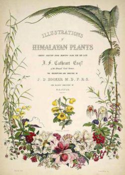Joseph Hooker's Illustrations of Himalayan Plants, 1855