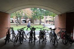 A row of bikes locked to cycle stands under a brick and concrete archway which shows leafy campus on the other side
