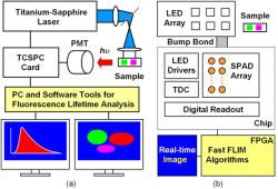 a Lab FLIM system and a SPAD-based FLIM system-on-chip