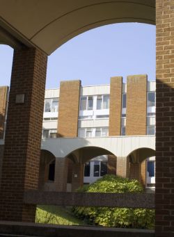 arts b Arts b arches