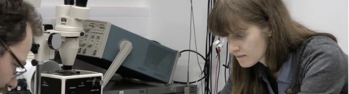 History research proposal sample pdf picture