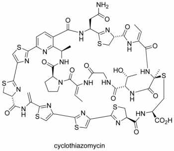 cyclothiazomycin