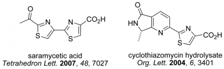 saramycetic acid and lactam