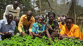 Uganda coffee growers looking at the camera