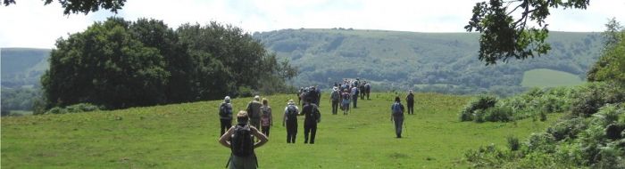 This is a photograph of the London Blind Ramblers Club when hosted by the Mid Sussex ramblers in July 2011. The group is photographed from behind as they walk into the distance, down Lodge Hill in East Sussex.