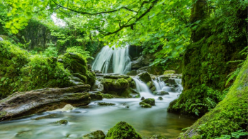 http://wwwstage.sussex.ac.uk/lifesci/ebe/research/environment