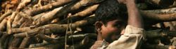 Man carries wood on his shoulder, Bangladesh. Credit: Sergey Maximishin/Panos