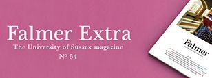 Falmer Extra banner