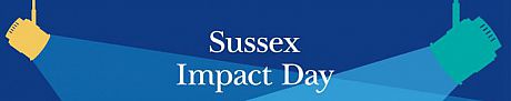 Sussex Impact Day