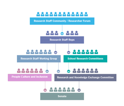 Sussex Research Staff Reps Group within the University governance structure