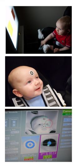3 photos of babies