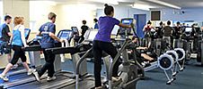 The Fitness Room