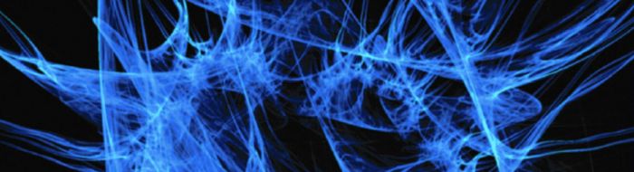 Students walking across campus