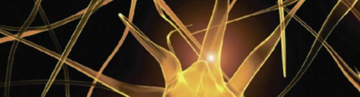 Students walking across campus