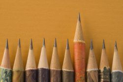 row of pencils with one higher than the rest