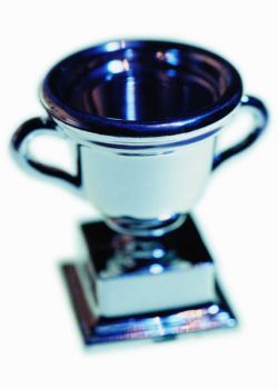 large silver cup