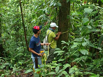 Parabiologists working