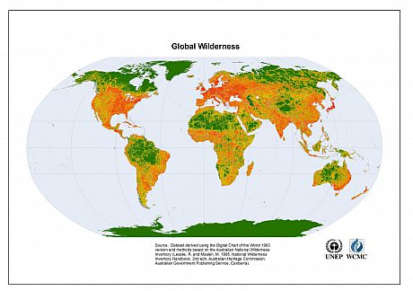 Biodiversity Carbon Sinks Yasuni Global University Of