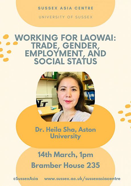 Working for Laowai Poster