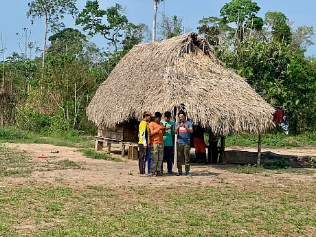 A group of four people are seen in front of a straw hut surrounded by trees. The group is standing closely together checking - what seems to be - monitoring equipment