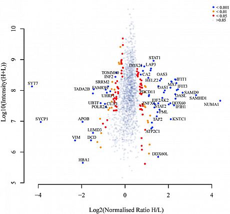 Proteomic profile of KSR1-regulated signalling in response to genotoxic agents in breast cancer