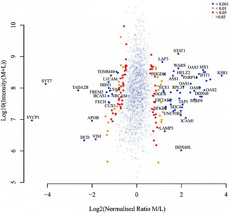 Proteomic profile of KSR1-regulated signalling in response to genotoxic agents in breast cancer