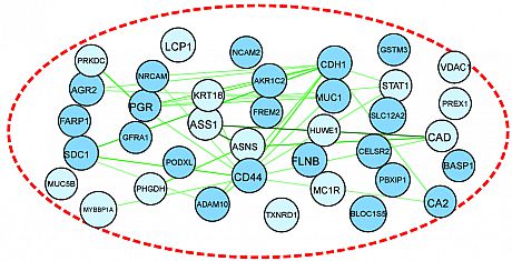 functional protein–protein interaction networks - STRING